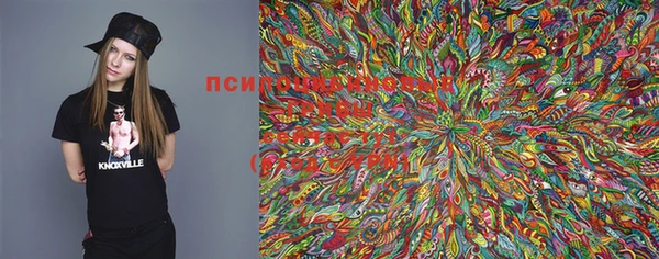 прущая мука Балахна