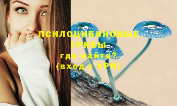 прущая мука Балахна